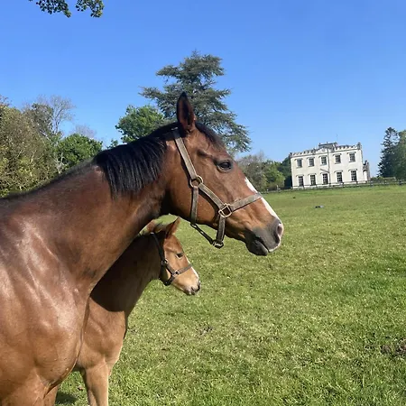 Lismacue House Bansha