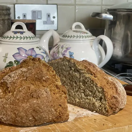 Lismacue House Bansha