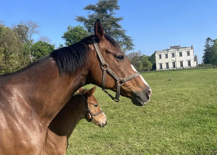 Lismacue House Bansha