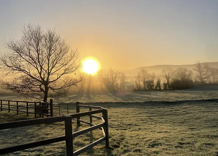 펜션 Lismacue House